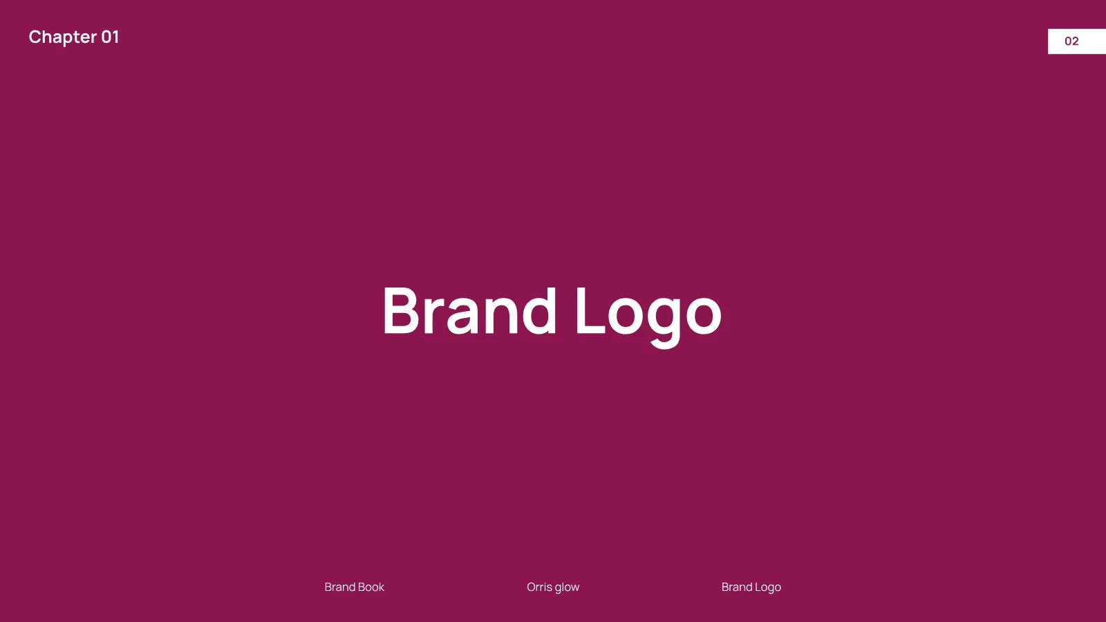 Orris Glow Brand Guidelines presentation, page 3 of 32