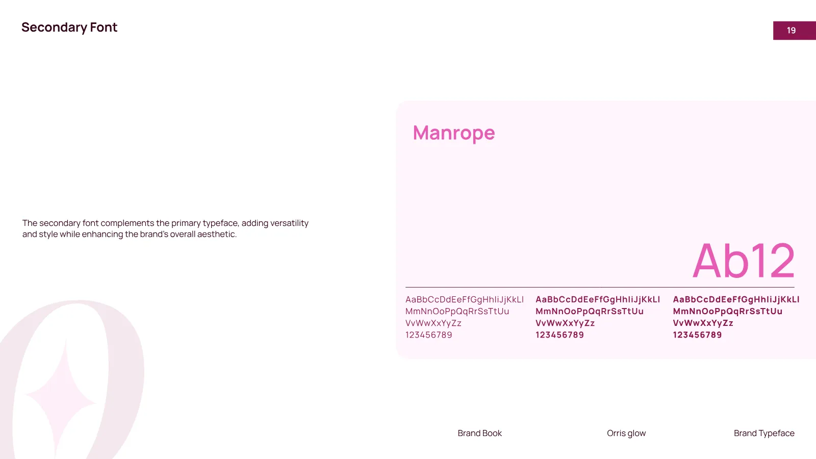 Orris Glow Brand Guidelines presentation, page 20 of 32
