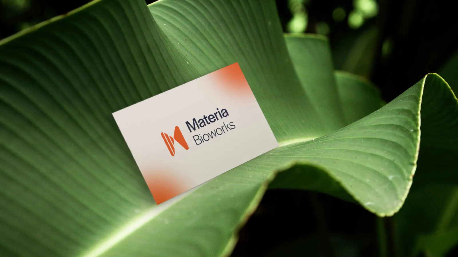 Materia Bioworks Brand Guidelines presentation, page 43 of 45